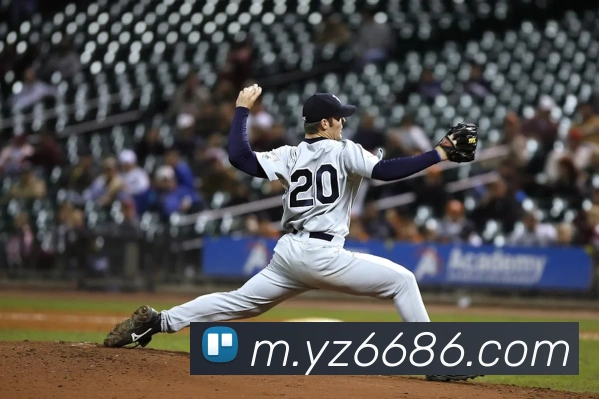平台使命图